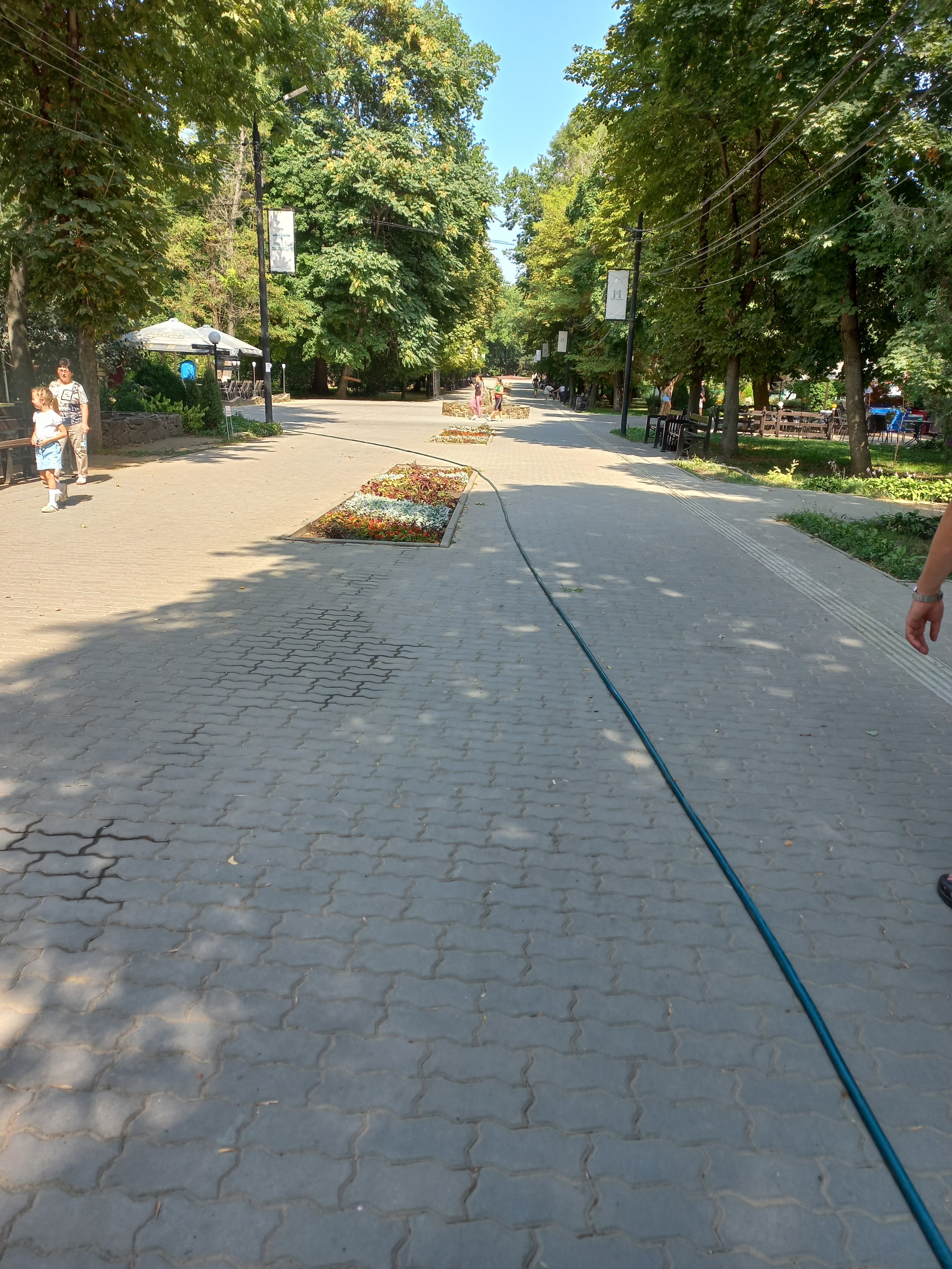Приказ Минсельхозпрода РБ от 27.04.2021 №57.